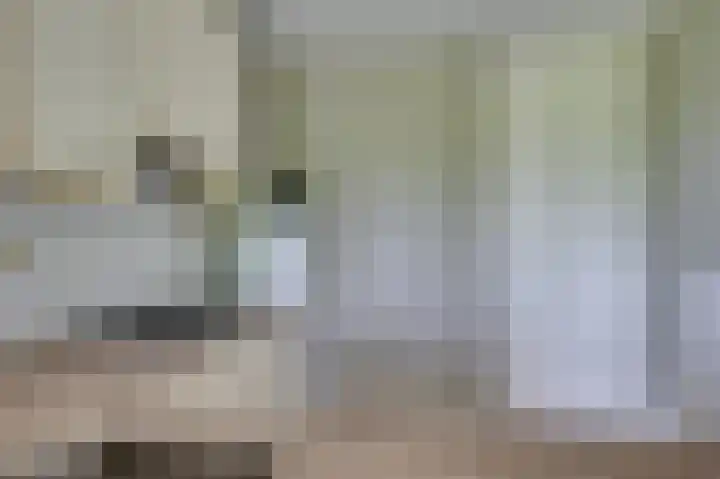 Oude Tiendweg 87 Krimpen aan den IJssel thumbnail 21