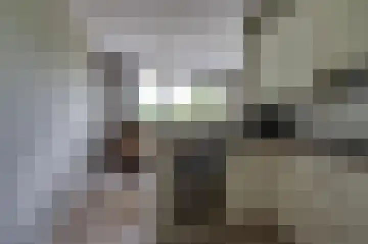 Oude Tiendweg 87 Krimpen aan den IJssel thumbnail 23
