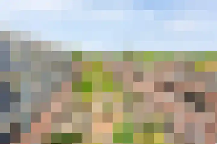 Oude Tiendweg 87 Krimpen aan den IJssel thumbnail 39