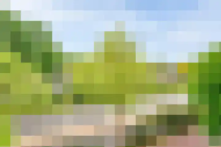 Oude Tiendweg 87 Krimpen aan den IJssel thumbnail 40