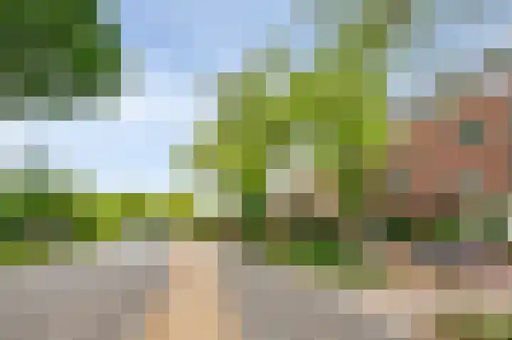 Oude Tiendweg 87 Krimpen aan den IJssel thumbnail 7