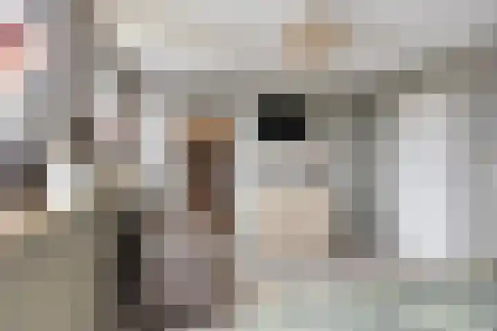 Oude Tilburgsebaan 14 a Riel thumbnail 19