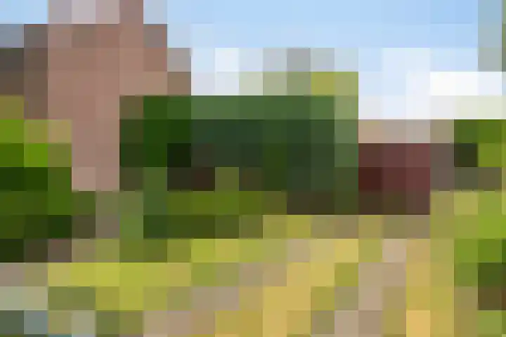 Oude Tilburgsebaan 19 a Riel thumbnail 10