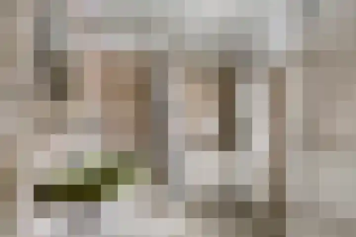 Oude Tilburgsebaan 19 a Riel thumbnail 29