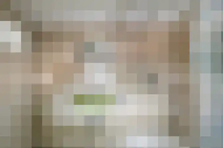 Oude Tilburgsebaan 19 a Riel thumbnail 31