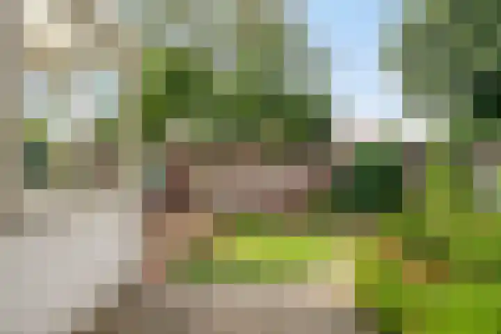 Oude Tilburgsebaan 19 a Riel thumbnail 32