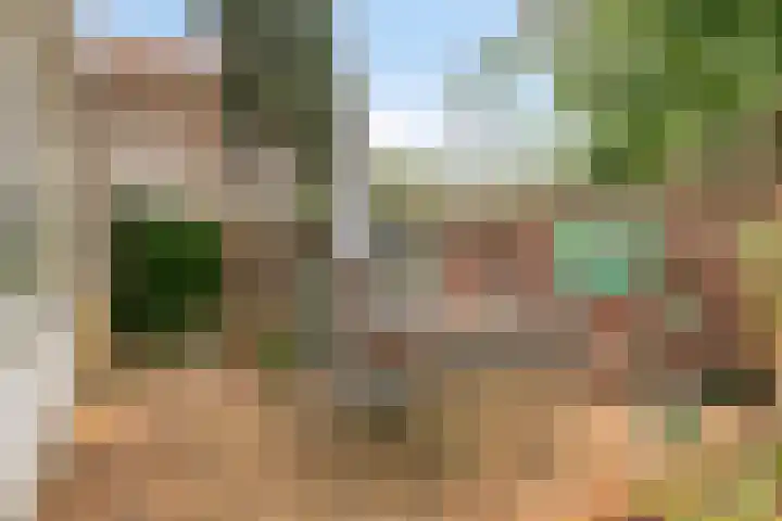 Oude Tilburgsebaan 19 a Riel thumbnail 33
