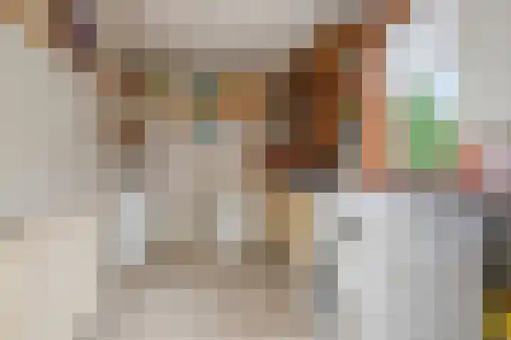 Oude Tilburgsebaan 19 a Riel thumbnail 37