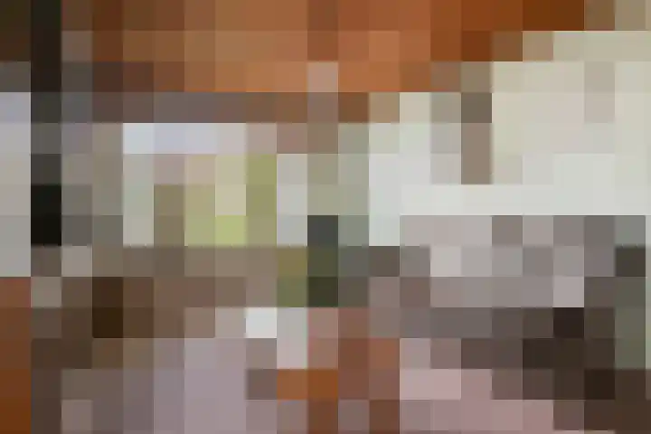 Oude Tilburgsebaan 19 a Riel thumbnail 4