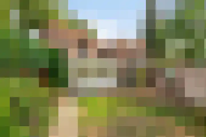 Oude Tilburgsebaan 19 a Riel thumbnail 6