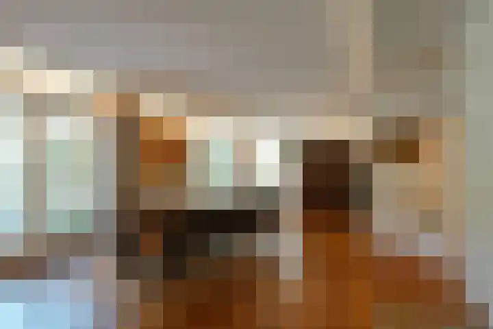 Oude Tilburgsebaan 9 Riel thumbnail 12