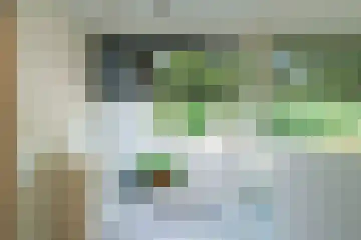 Oude Tilburgsebaan 9 Riel thumbnail 31