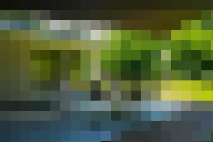 Oude Tilburgsebaan 9 Riel thumbnail 33