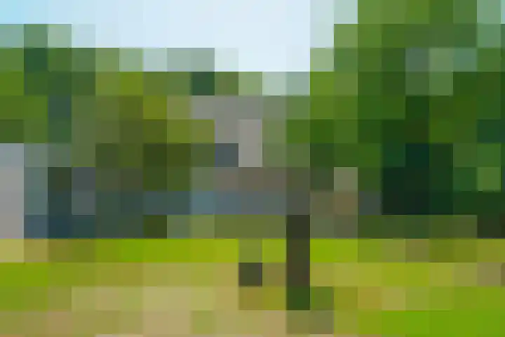 Oude Tilburgsebaan 9 Riel thumbnail 34