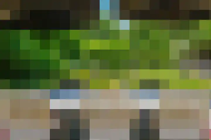 Oude Tilburgsebaan 9 Riel thumbnail 36