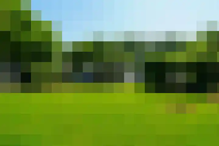 Oude Tilburgsebaan 9 Riel thumbnail 37