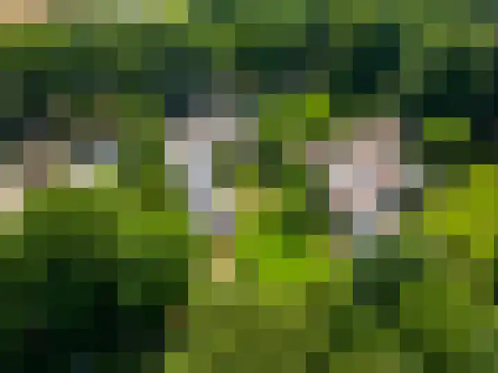 Oude Tilburgsebaan 9 Riel thumbnail 4