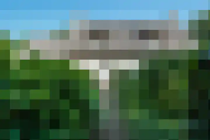 Oude Tilburgsebaan 9 Riel thumbnail 5