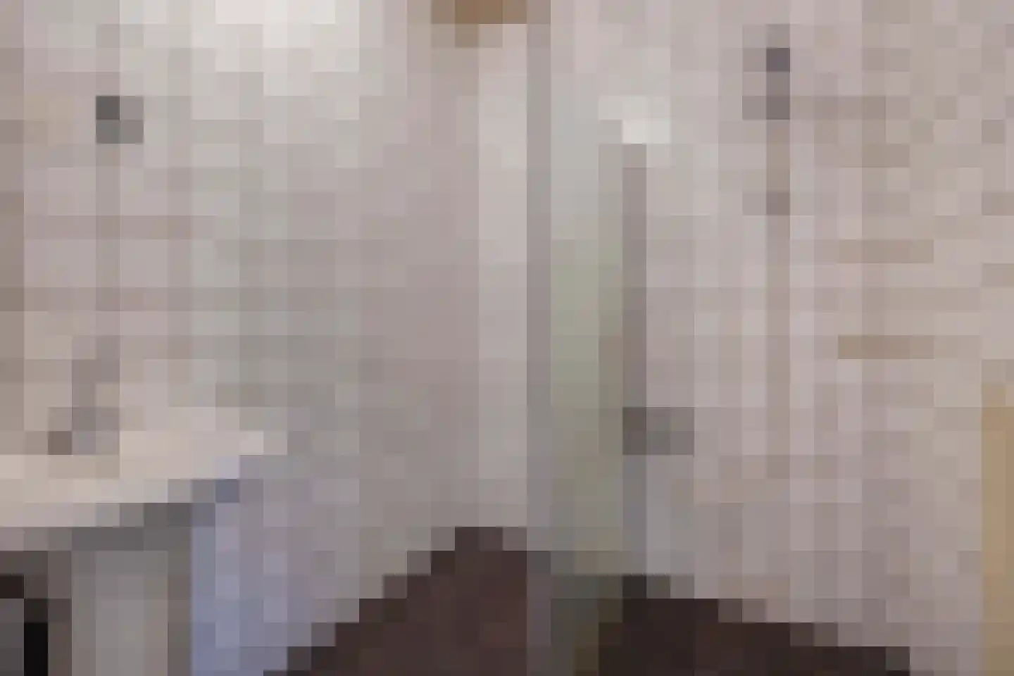 Oude Toldijk 7 Koekange thumbnail 16