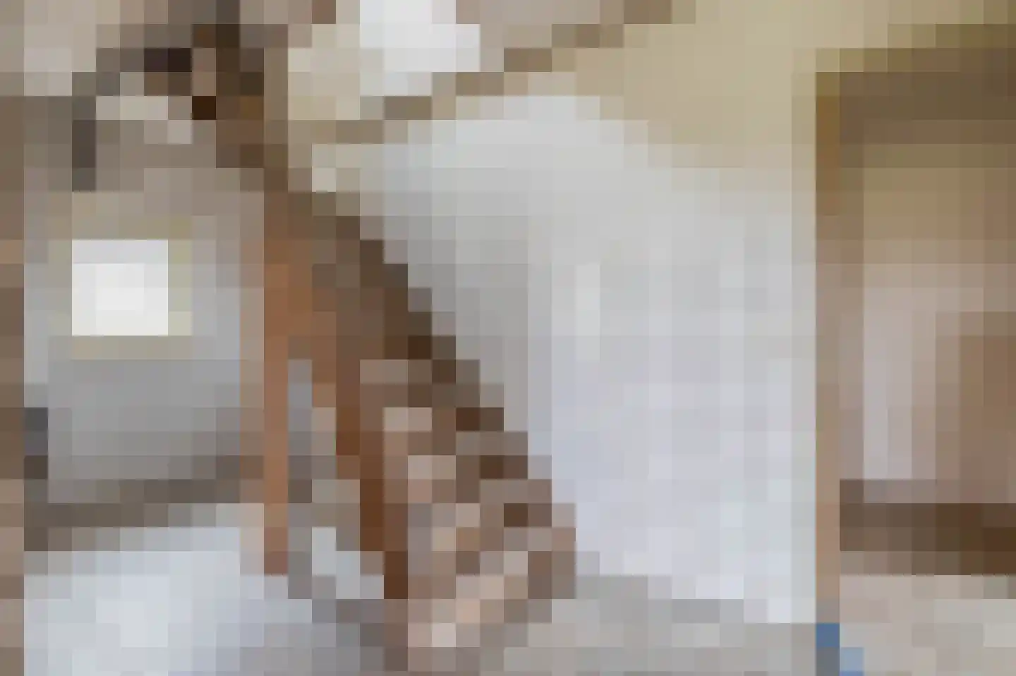Oude Toldijk 7 Koekange thumbnail 24