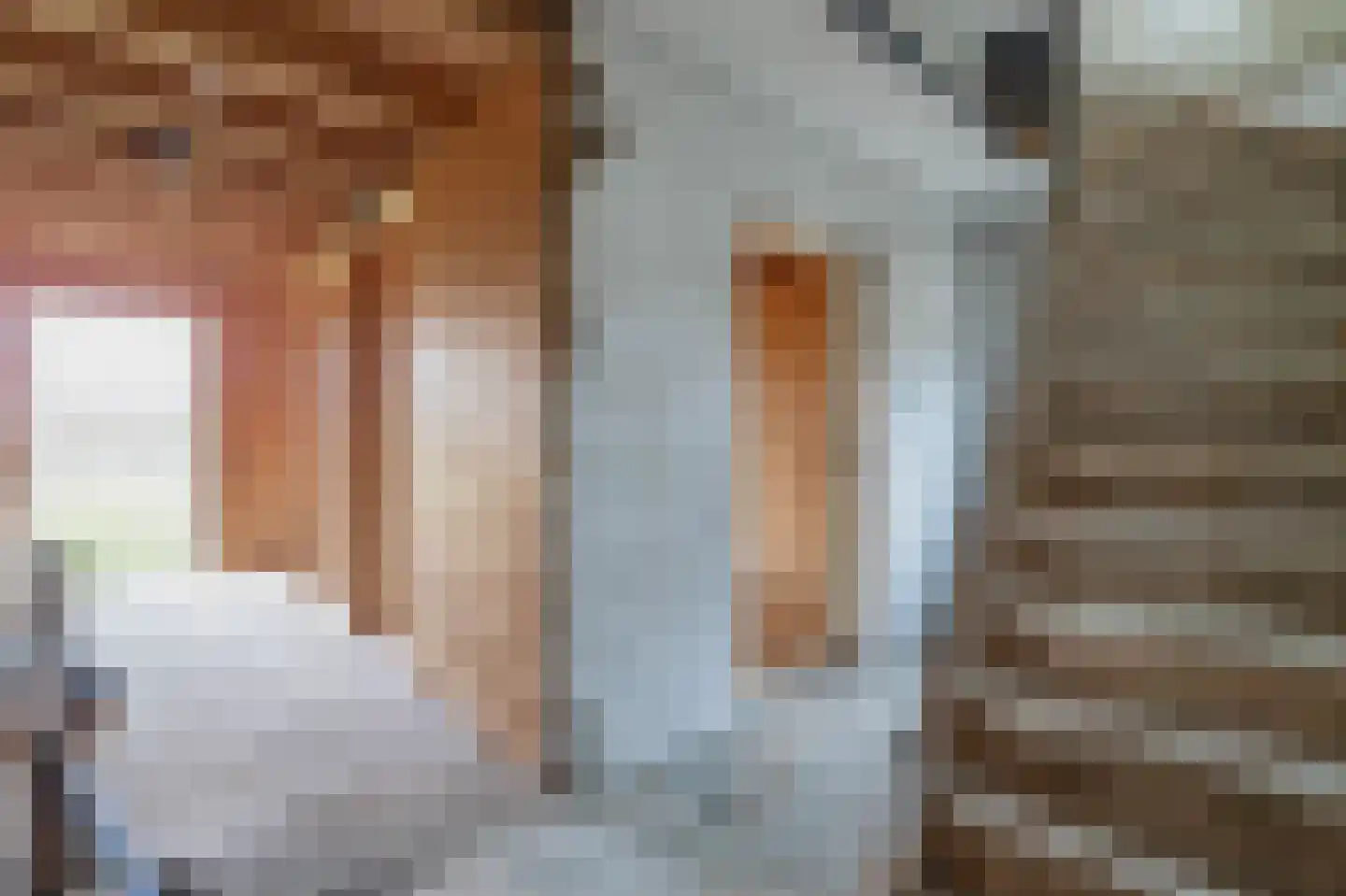 Oude Toldijk 7 Koekange thumbnail 25