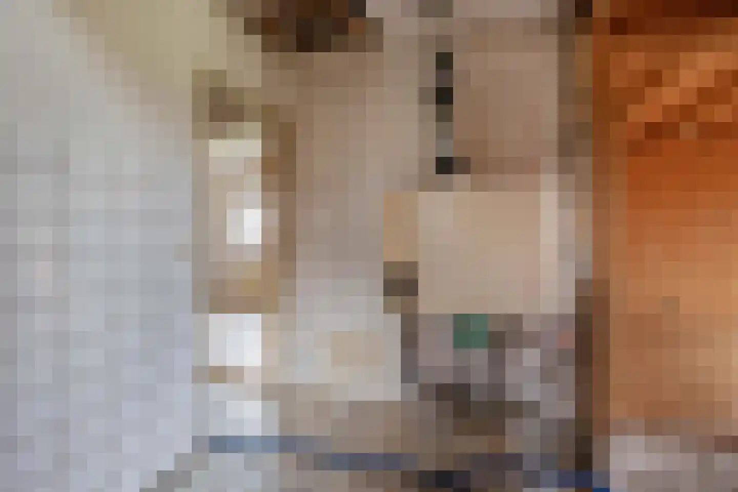 Oude Toldijk 7 Koekange thumbnail 26