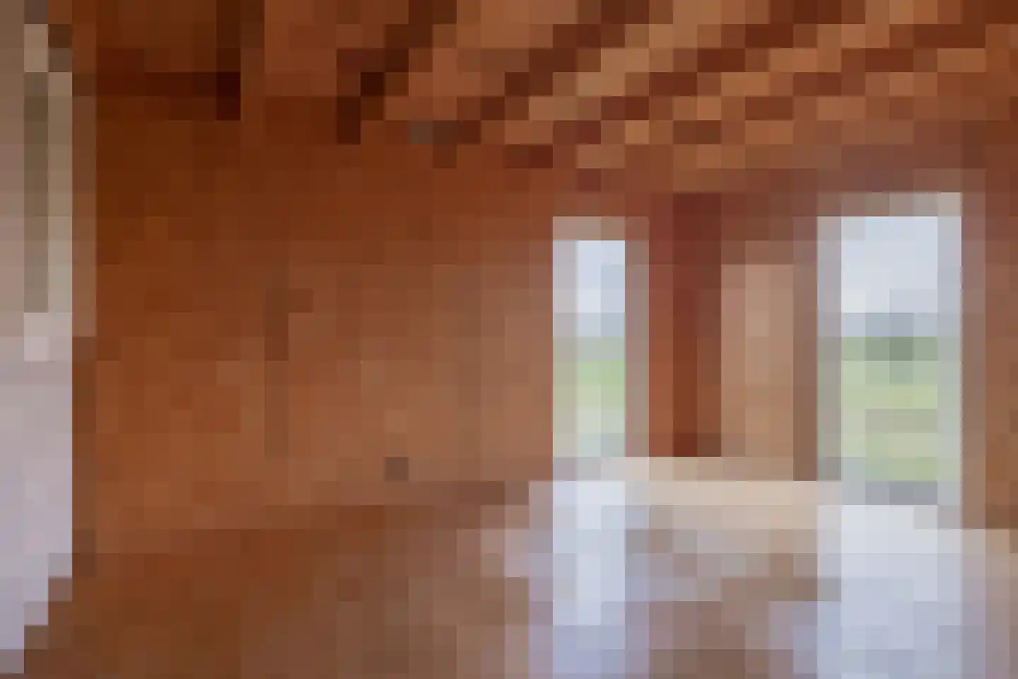 Oude Toldijk 7 Koekange thumbnail 29