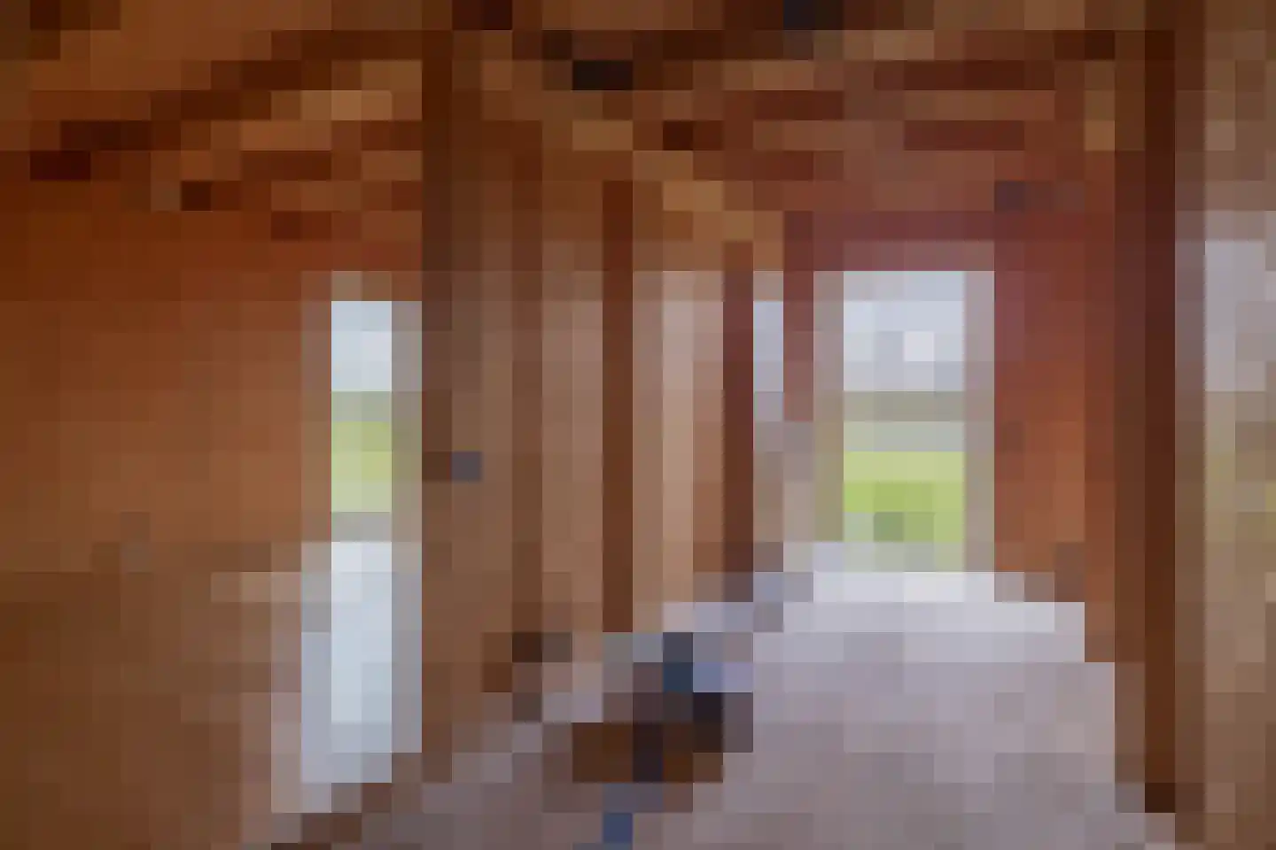 Oude Toldijk 7 Koekange thumbnail 31