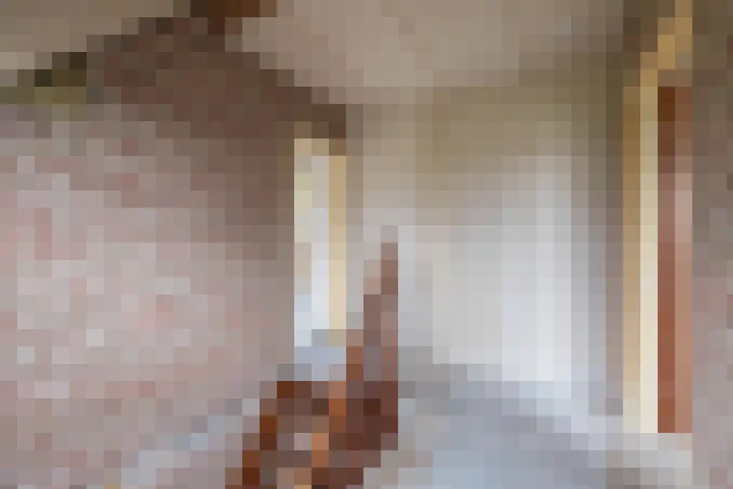 Oude Toldijk 7 Koekange thumbnail 35
