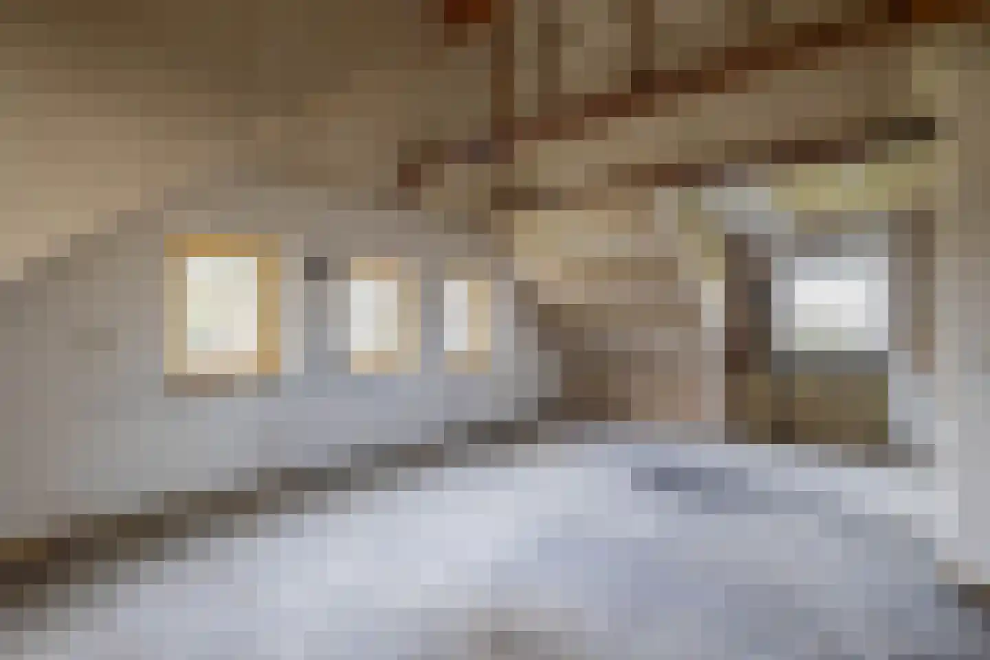 Oude Toldijk 7 Koekange thumbnail 36
