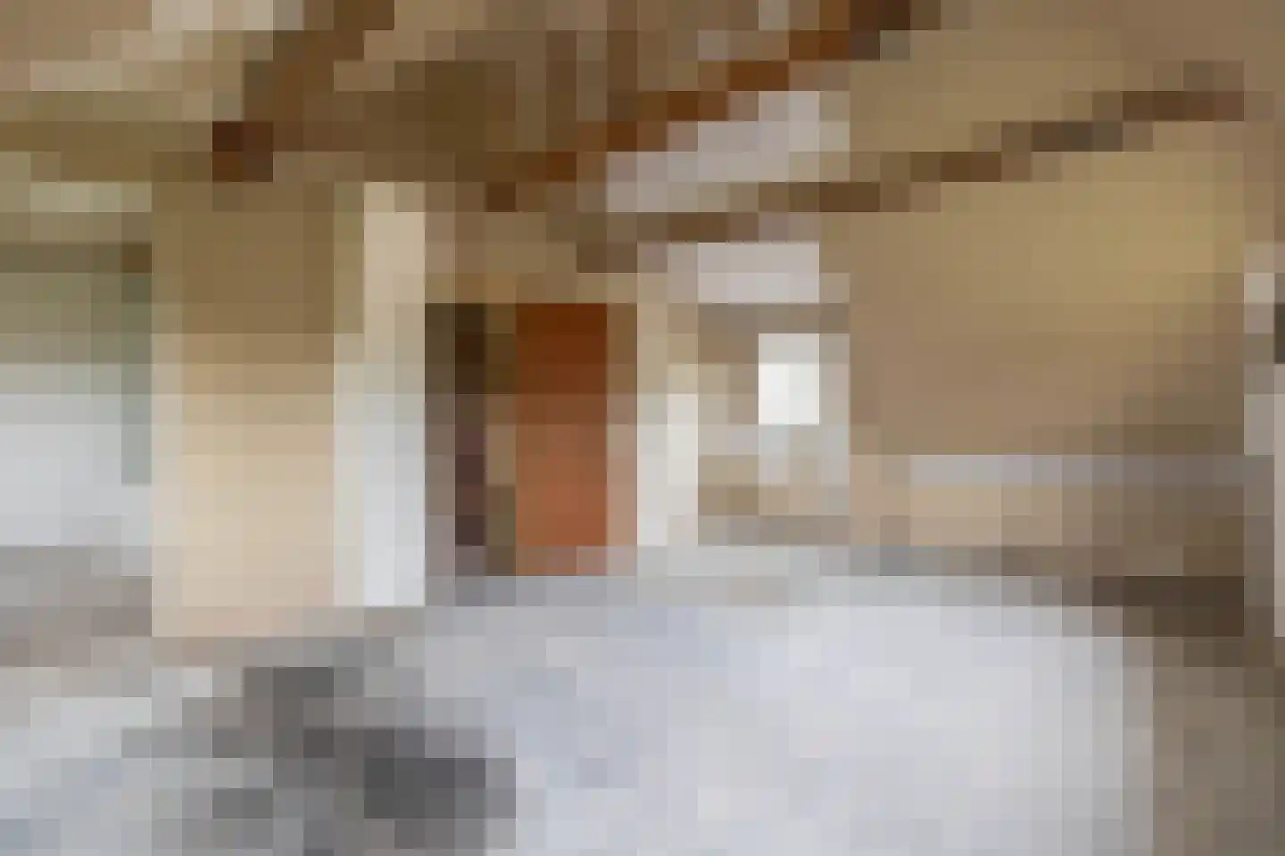 Oude Toldijk 7 Koekange thumbnail 38