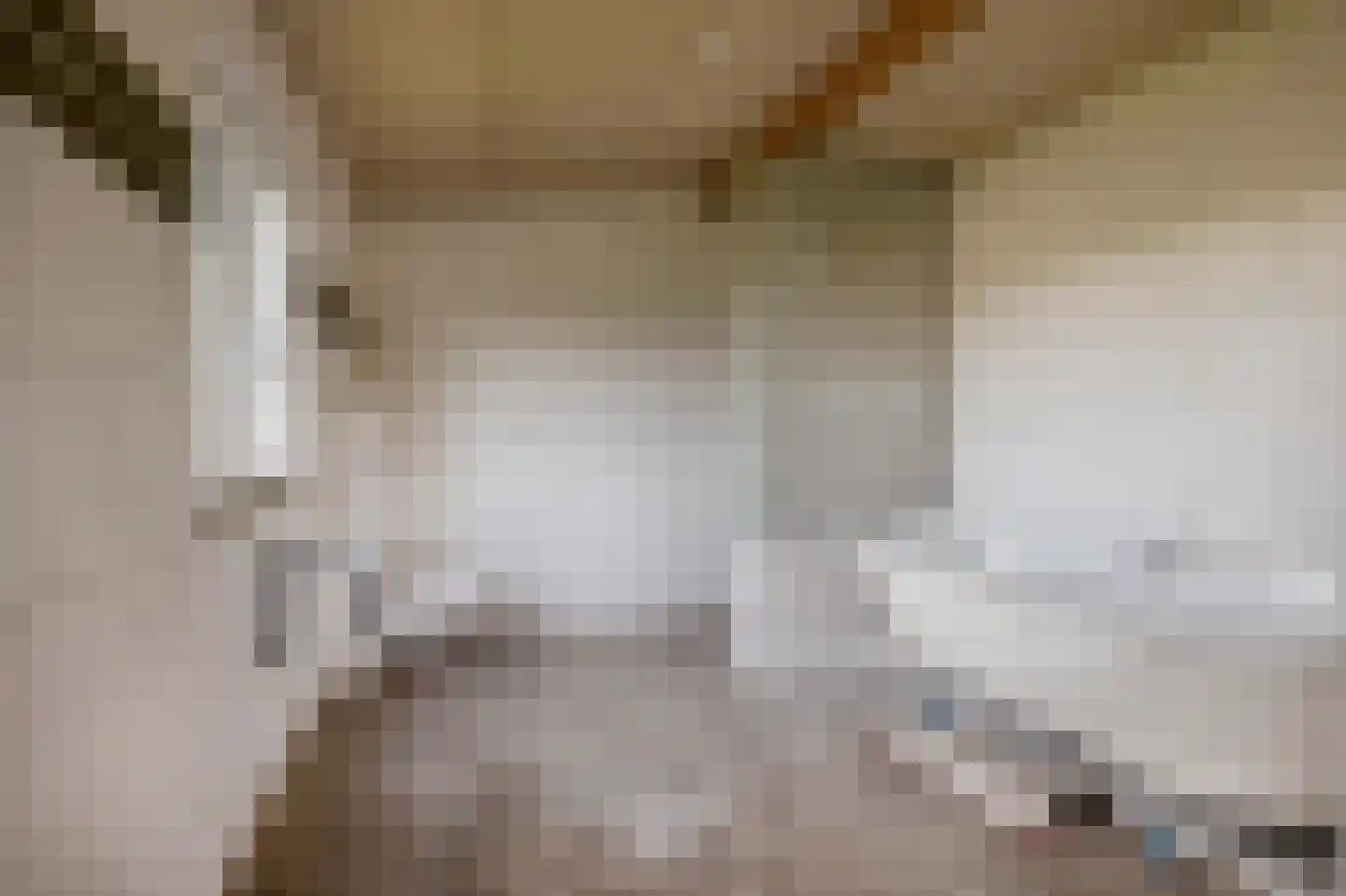 Oude Toldijk 7 Koekange thumbnail 39