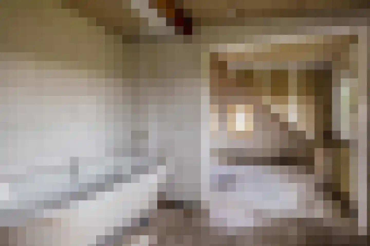 Oude Toldijk 7 Koekange thumbnail 40