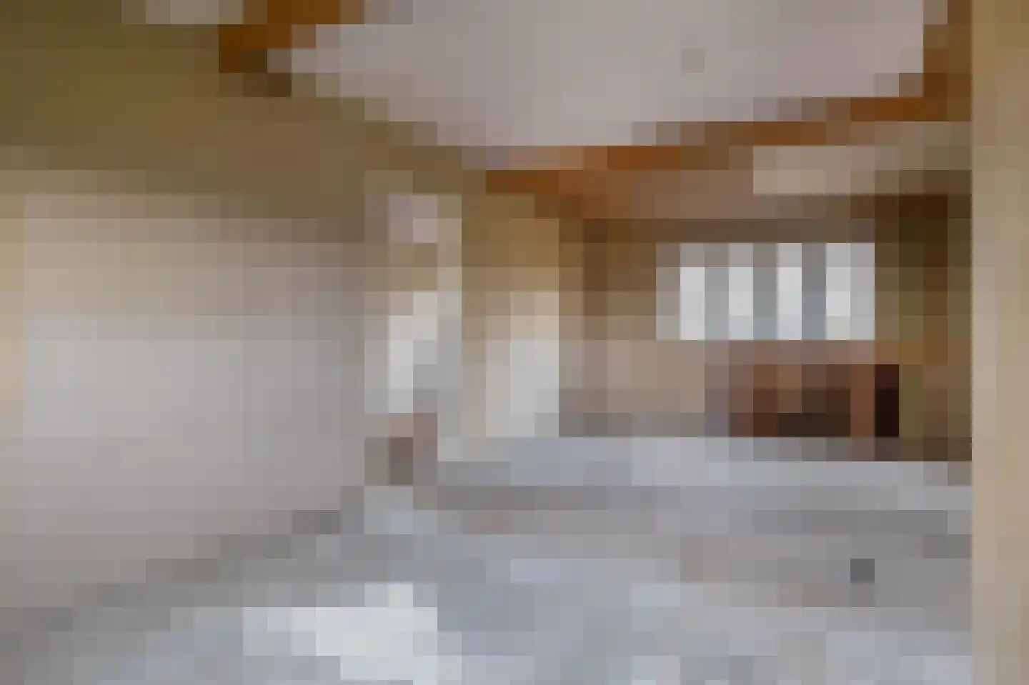 Oude Toldijk 7 Koekange thumbnail 43