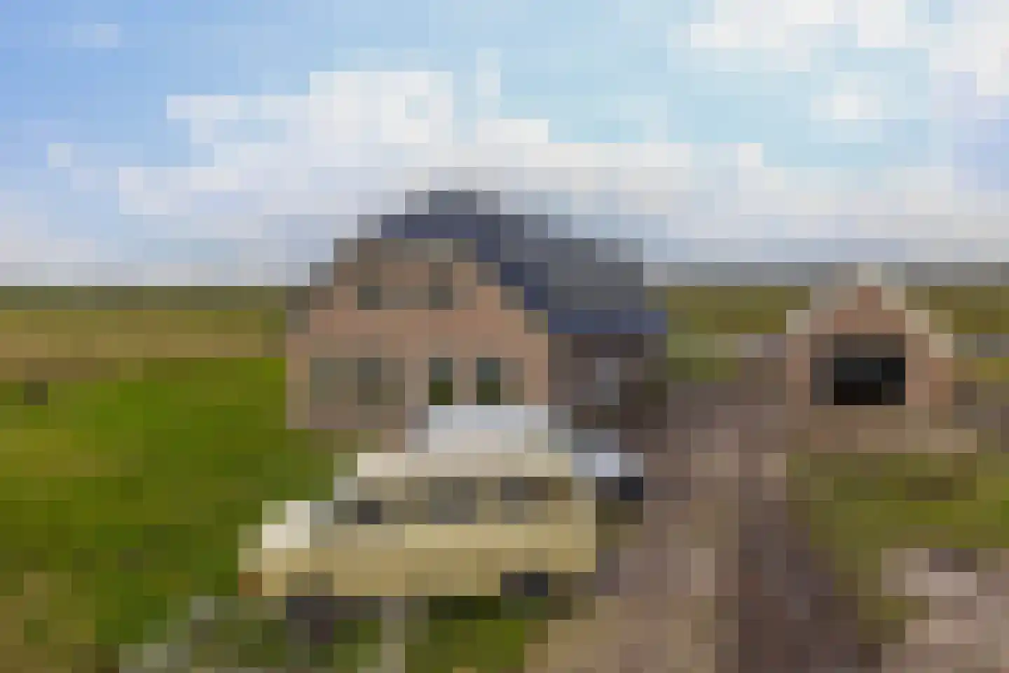 Oude Toldijk 7 Koekange thumbnail 59