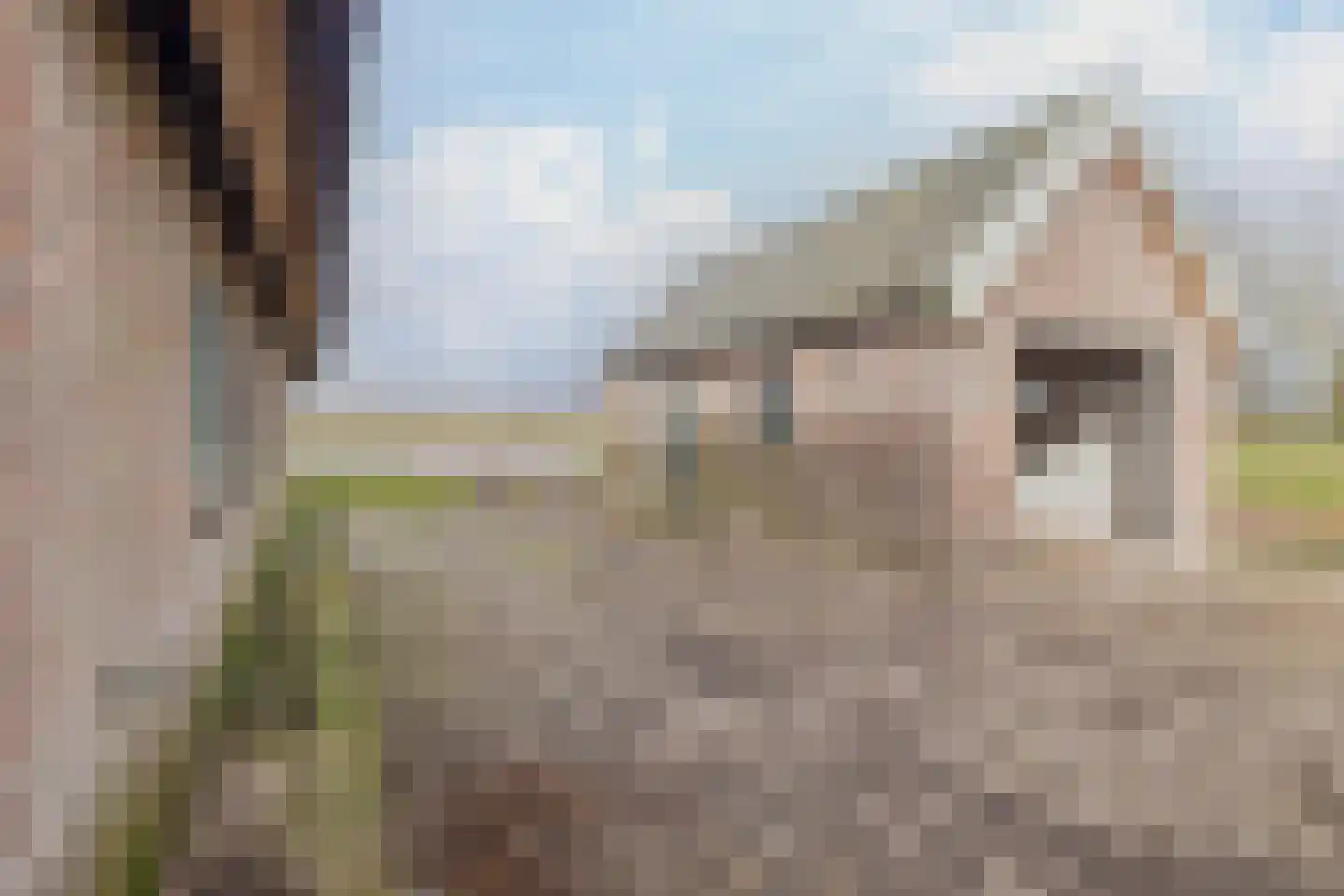 Oude Toldijk 7 Koekange thumbnail 60