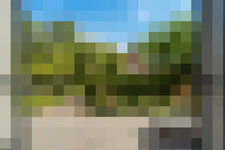 Oude Tolweg 21 Wateringen thumbnail 27