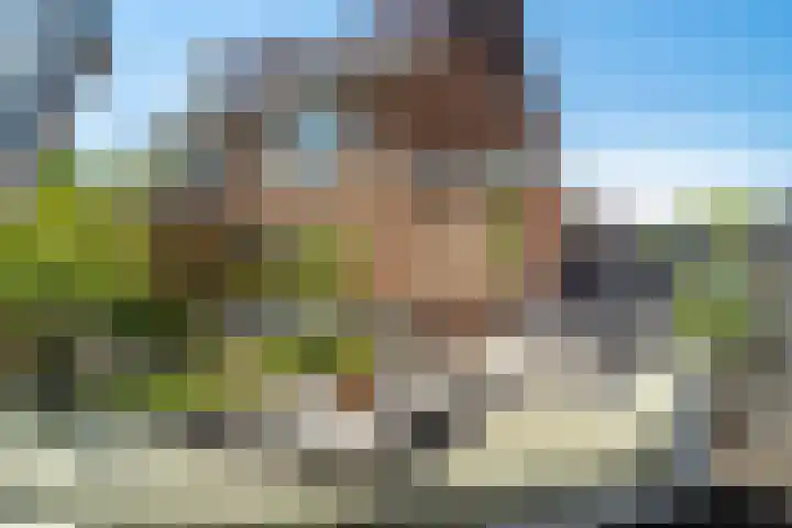 Oude Tolweg 21 Wateringen thumbnail 30