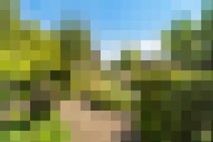 Oude Tolweg 21 Wateringen thumbnail 31