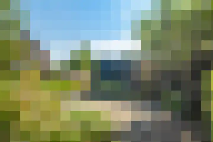 Oude Tolweg 21 Wateringen thumbnail 32
