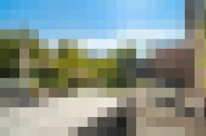 Oude Tolweg 21 Wateringen thumbnail 4