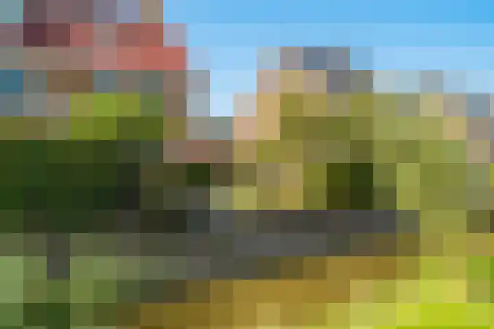 Oude Tolweg 21 Wateringen thumbnail 7