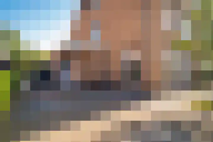 Oude Tolweg 21 Wateringen thumbnail 8