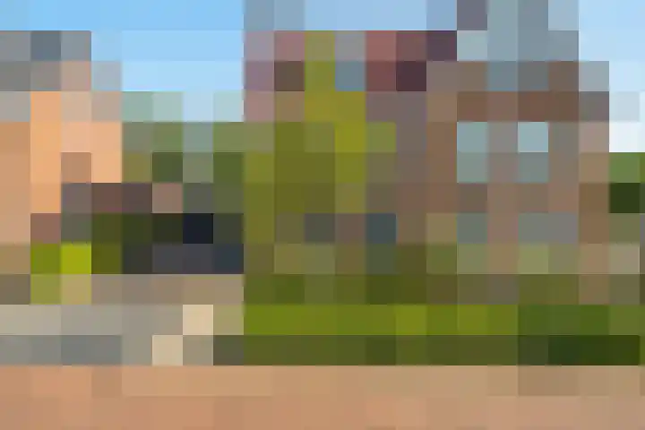 Oude Tolweg 21 Wateringen thumbnail 9