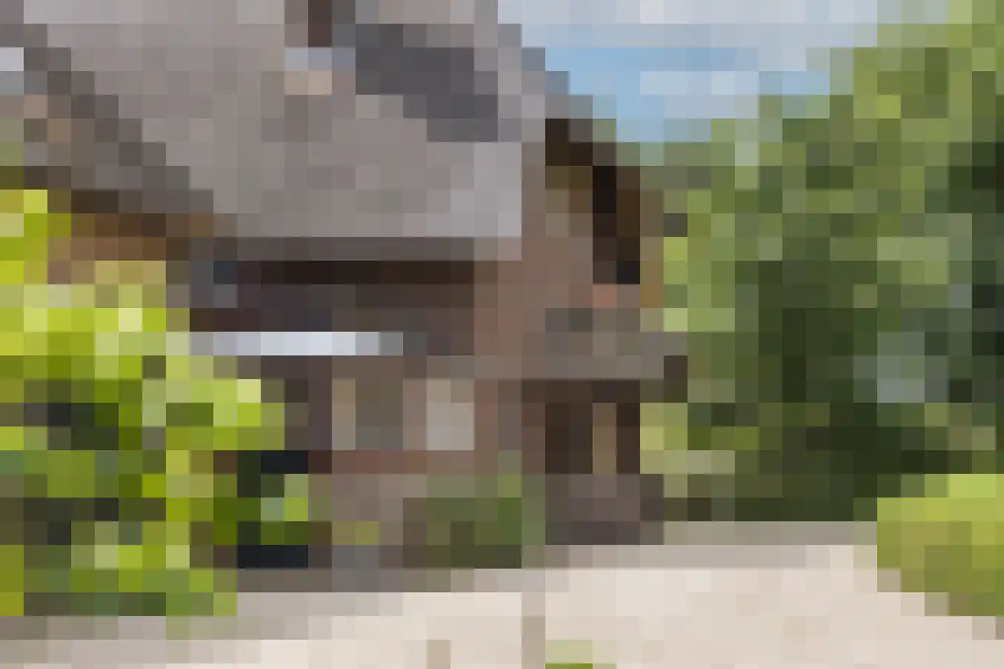 Oude Tolweg 3 Wierden thumbnail 10