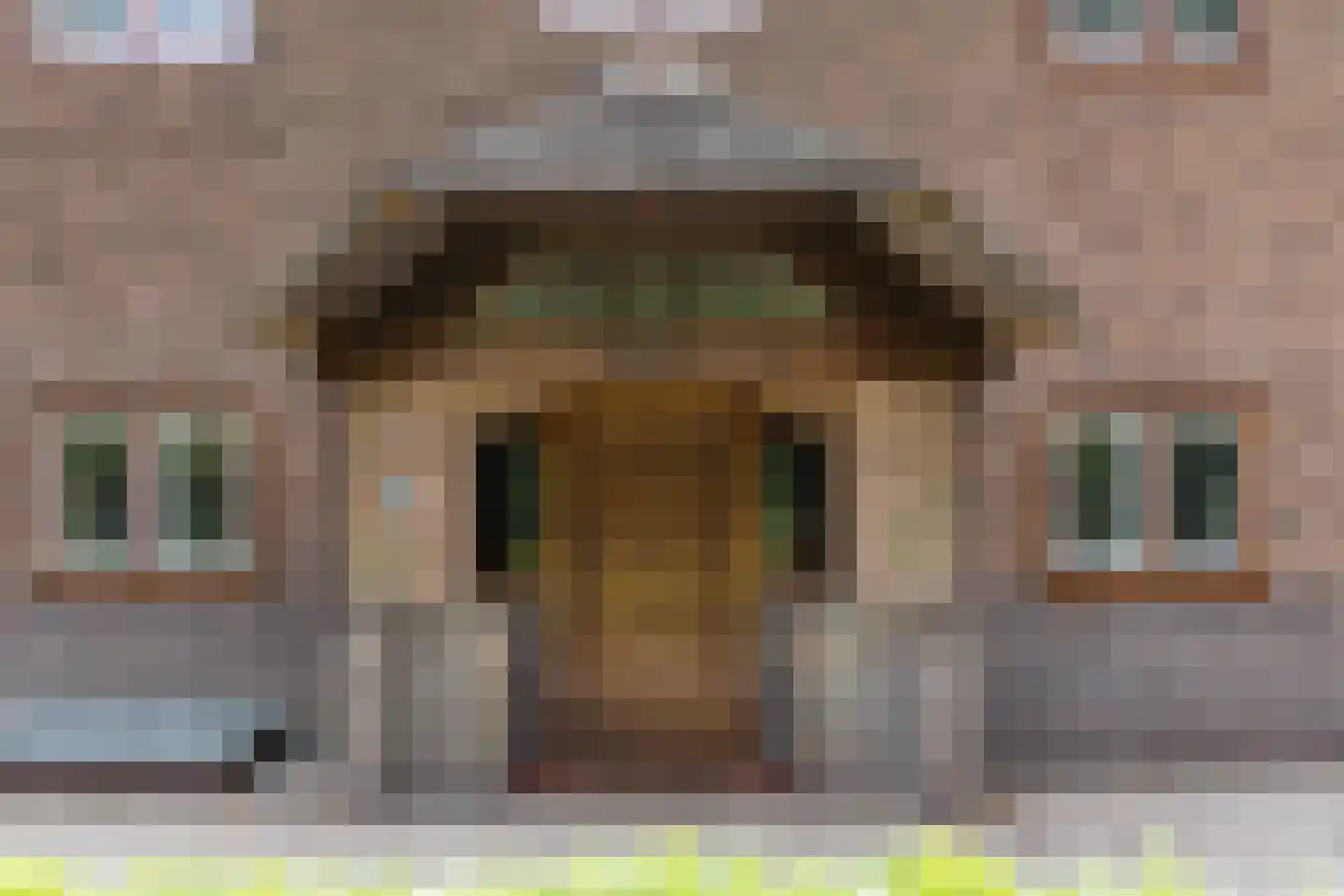 Oude Tolweg 3 Wierden thumbnail 12