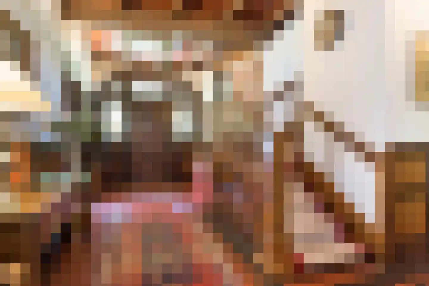 Oude Tolweg 3 Wierden thumbnail 13