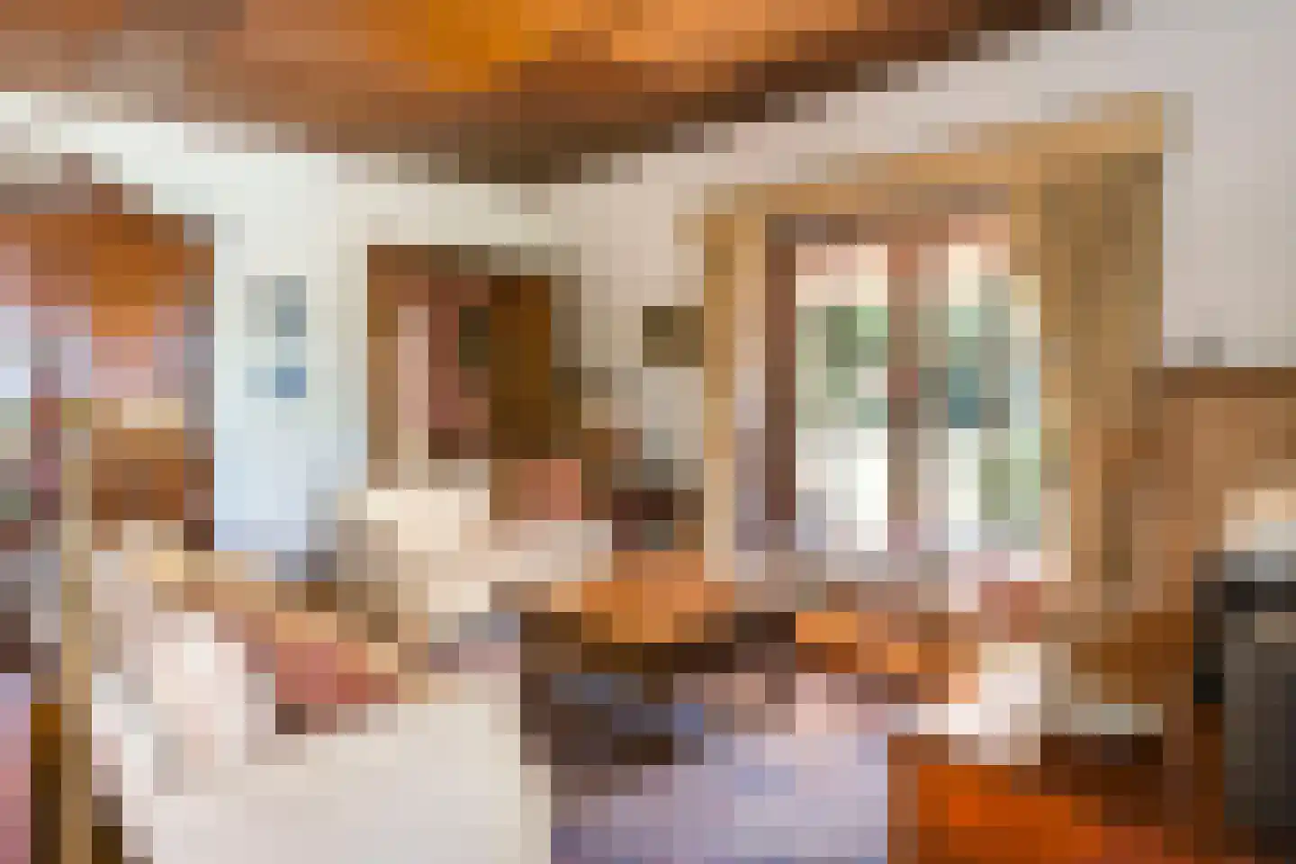 Oude Tolweg 3 Wierden thumbnail 15