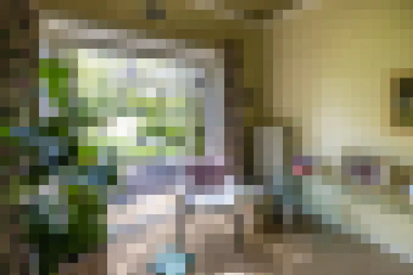 Oude Tolweg 3 Wierden thumbnail 20