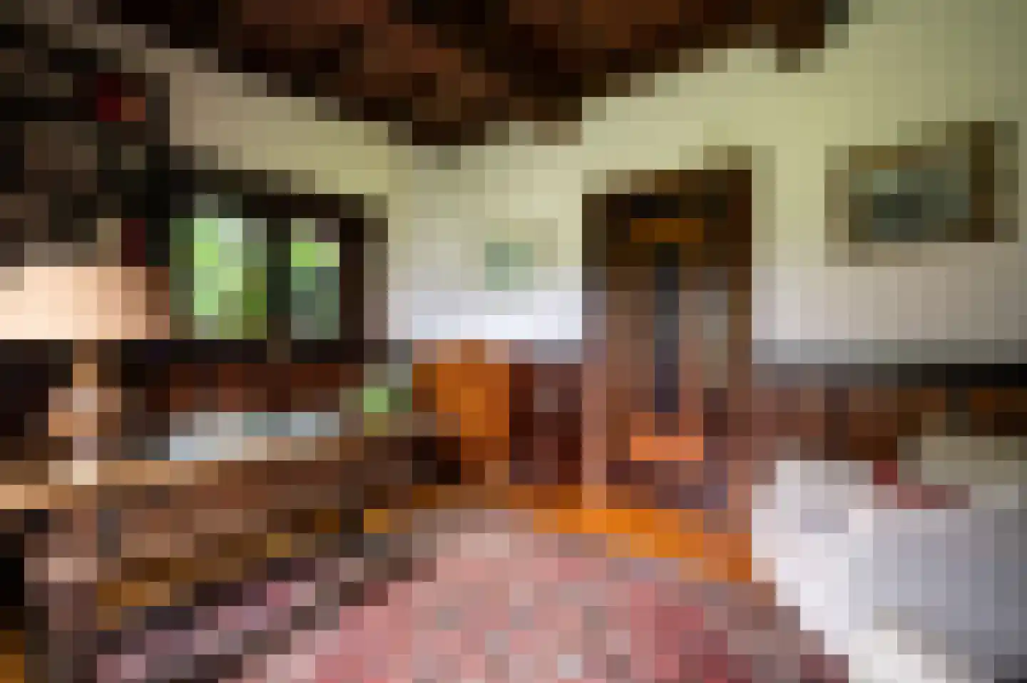 Oude Tolweg 3 Wierden thumbnail 24